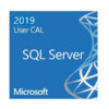 Microsoft SQL Server 2019 - 1 User CAL