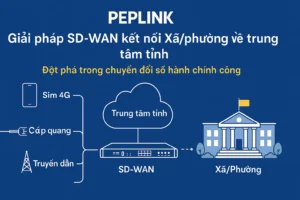 PEPLINK – GIẢI PHÁP SD-WAN KẾT NỐI XÃ/PHƯỜNG VỀ TRUNG TÂM TỈNH: ĐỘT PHÁ TRONG CHUYỂN ĐỔI SỐ HÀNH CHÍNH CÔNG